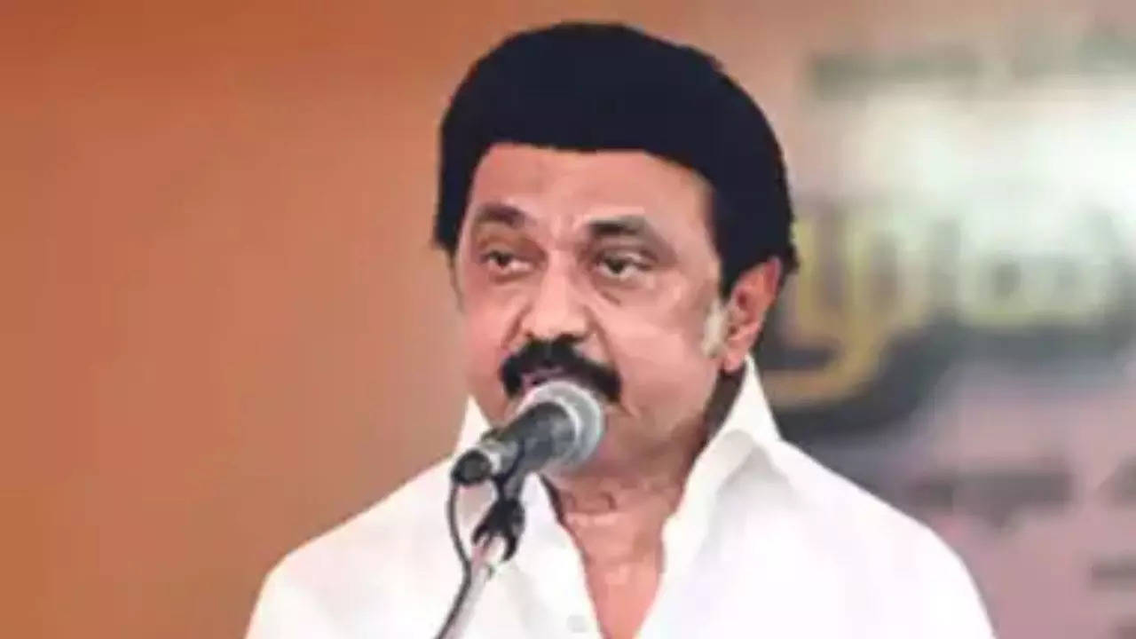 CM M K Stalin lays foundation for EV unit in Tuticorin | Chennai News – Times of India