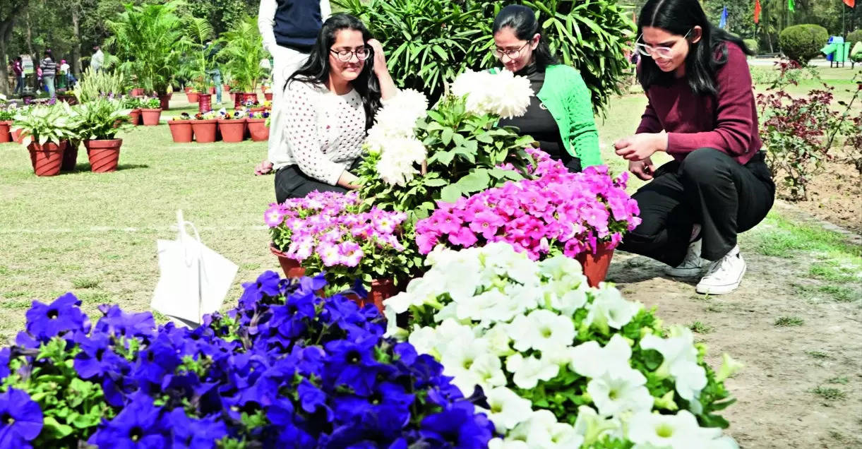 Flower & Baby Show Concludes on High Note and Becomes an Annual Event | Ludhiana News – Times of India