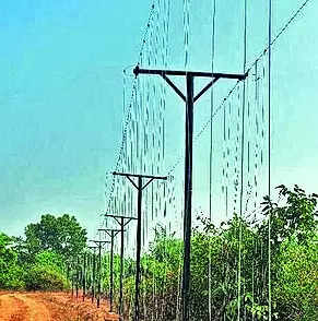 Hanging Solar Fence in Chandaka to Prevent Jumbos from Straying into Human Habitation | Bhubaneswar News – Times of India