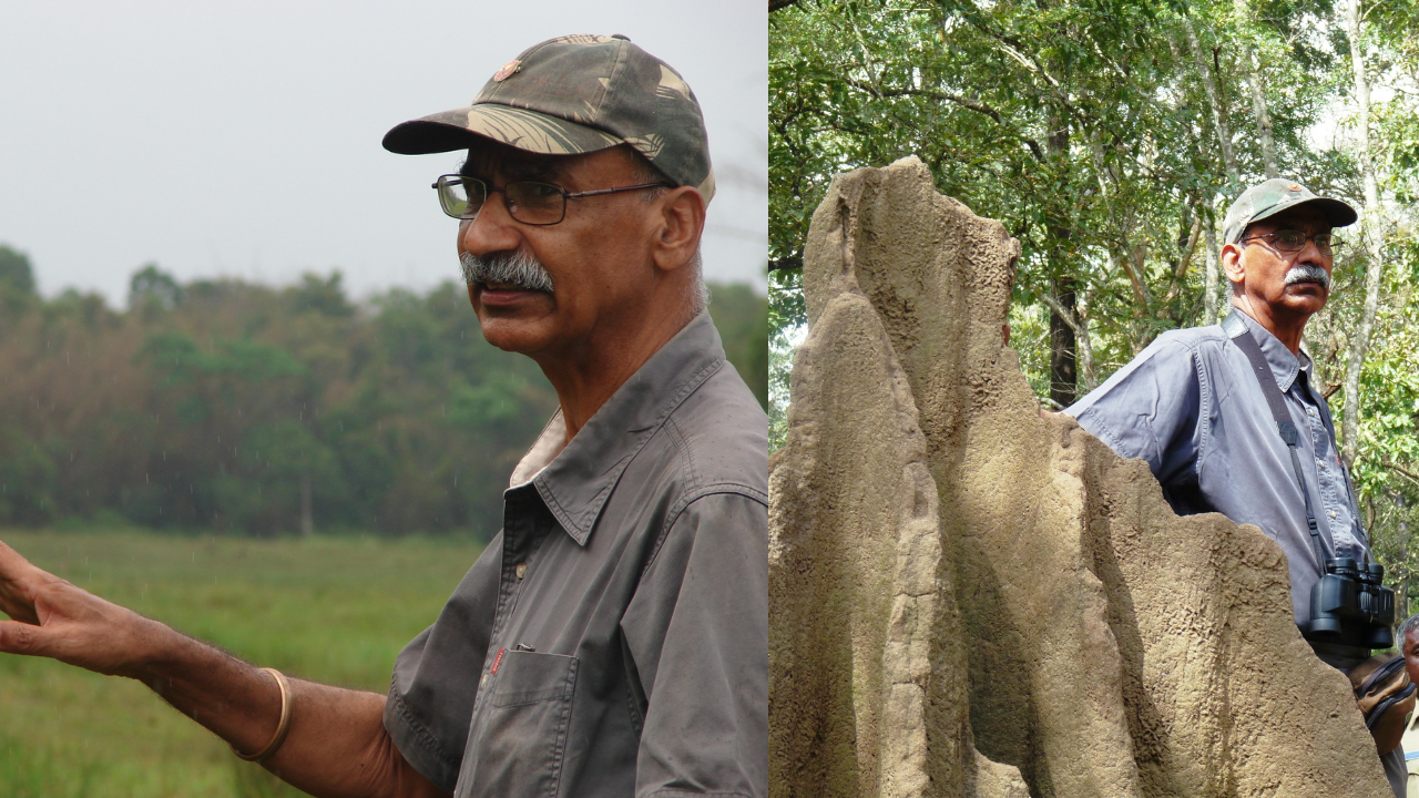 Chinnappa, patron forester of Nagarahole passes away | Bengaluru News – Times of India