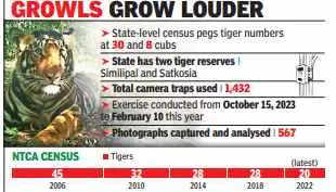 State census sees huge jump in big cat numbers - 30 to NTCA's 20 last year