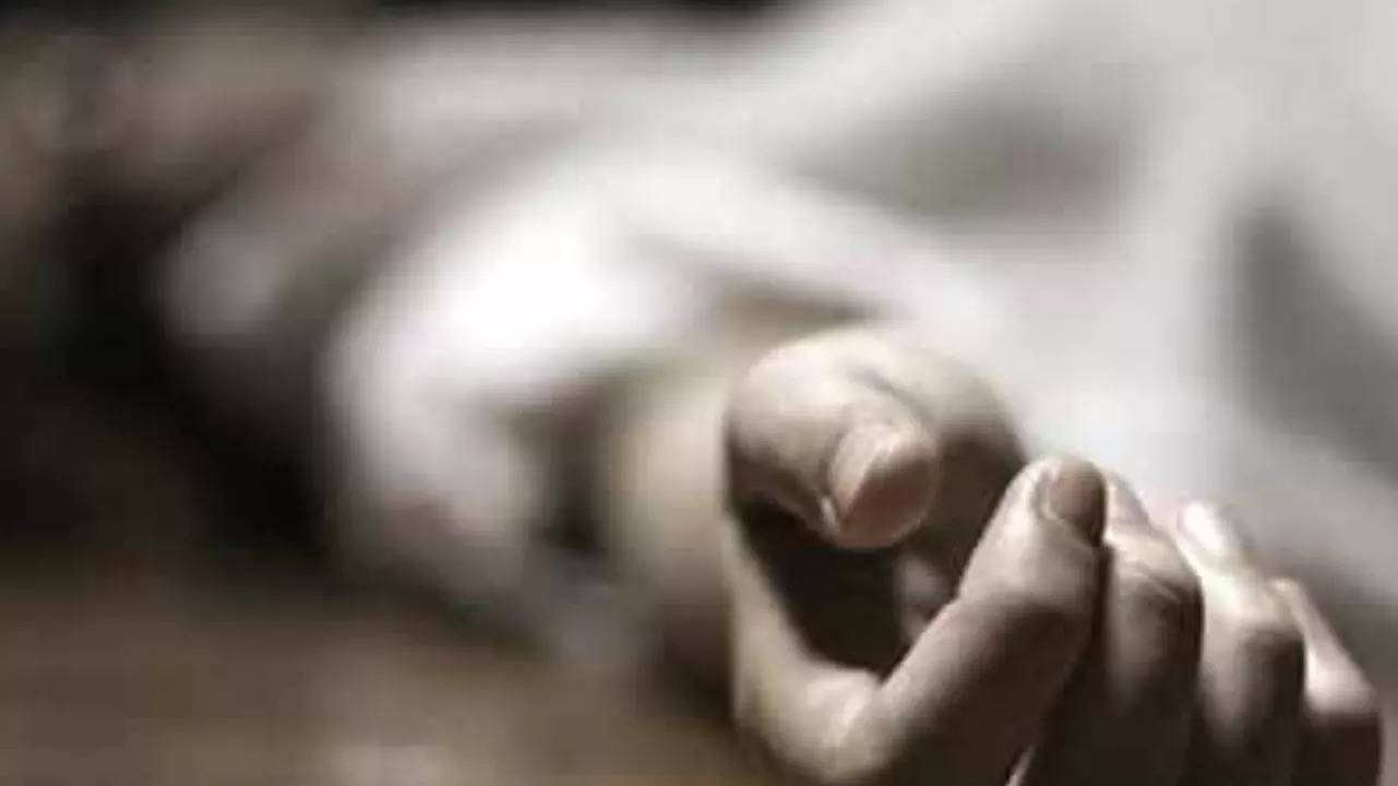 Brothers get drunk, one kills other after tiff, attempts suicide | Lucknow News – Times of India