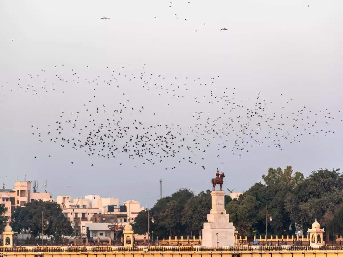 Jamnagar: Interesting places to visit in this vibrant city in Gujarat