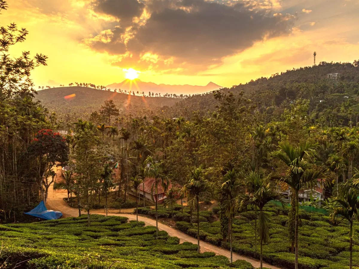 Wayanad is incredibly photogenic; here’s proof