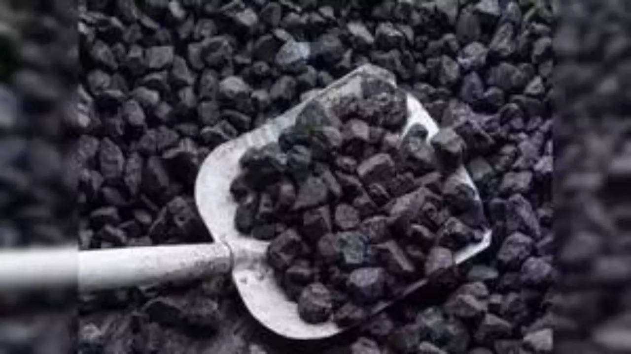India advocates design change in coal-based power plants to utilise local resources, considers higher tax on imports