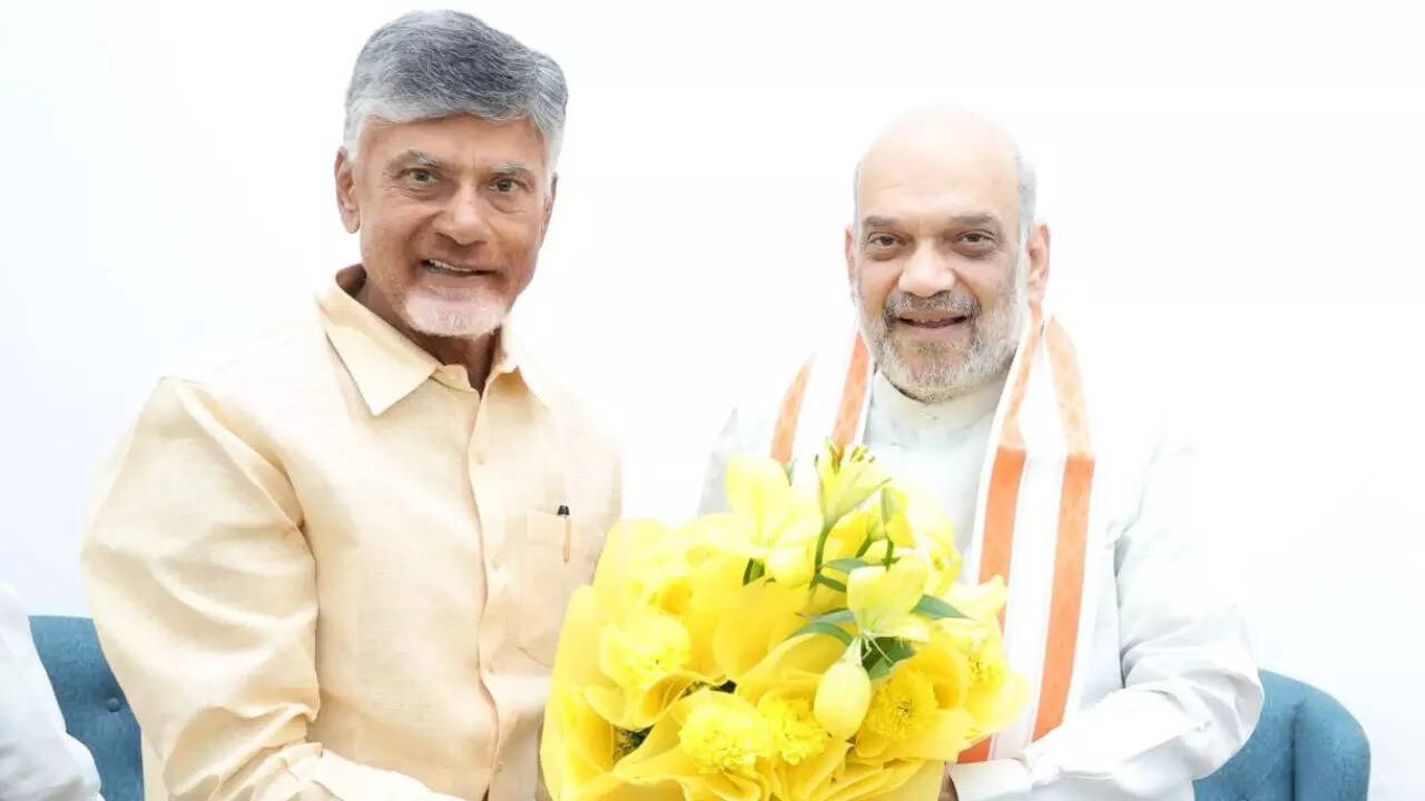 BJP, TDP reach seat-sharing deal in Andhra ahead of LS polls