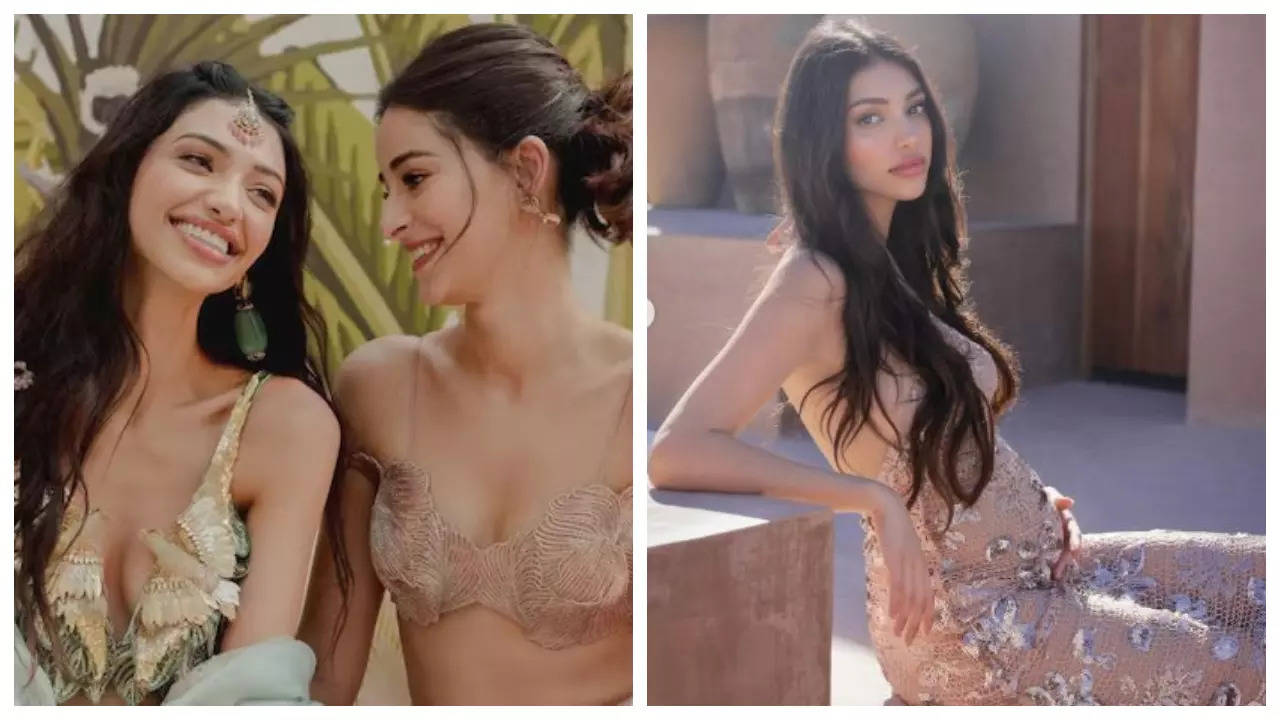 Alanna Panday reveals off her child bump in new photographs; cousin Ananya Panday REACTS – See put up |