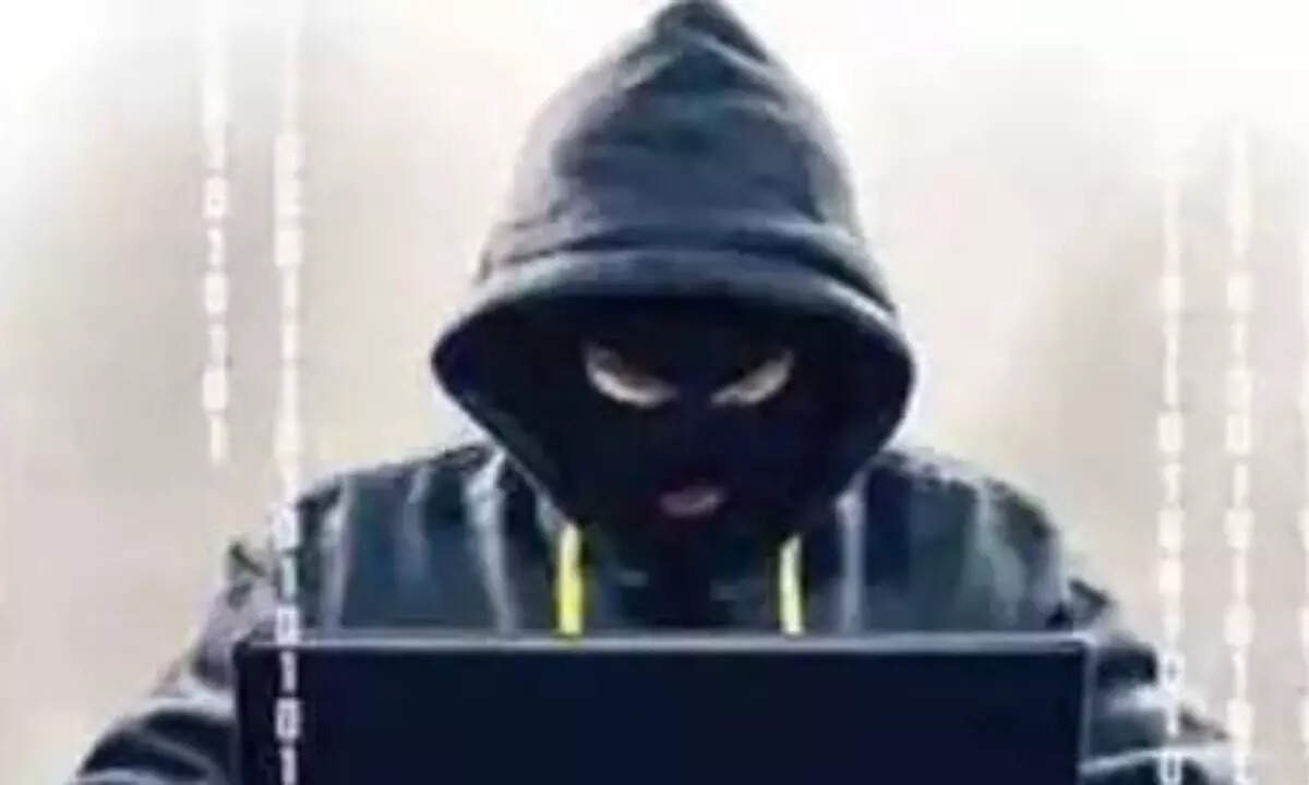 Jamtara & beyond: Cyber fraud hubs sprout in North India towns