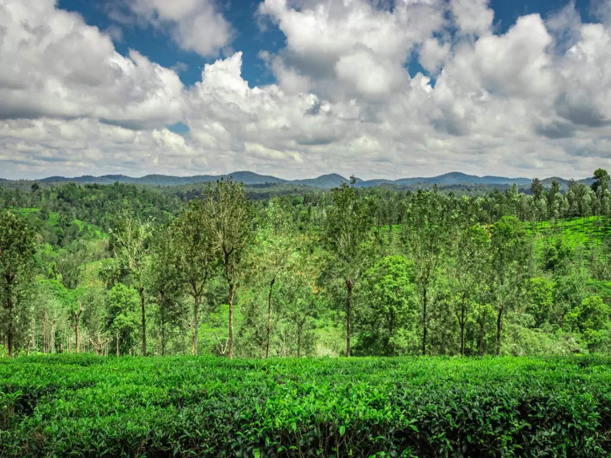 5 places to visit near Coonoor for nature lovers
