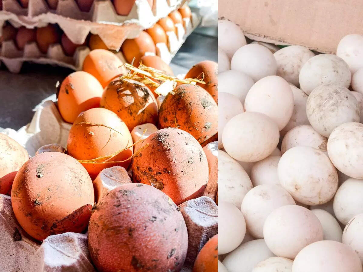 msid 108824184,imgsize 102084