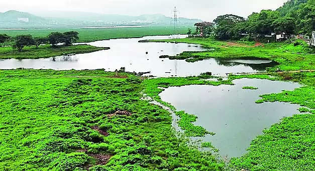 Wetland ‘denotified’: HC seeks govt reply