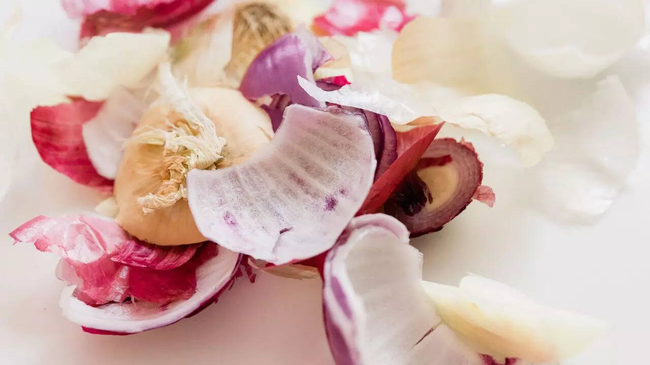 onion 1