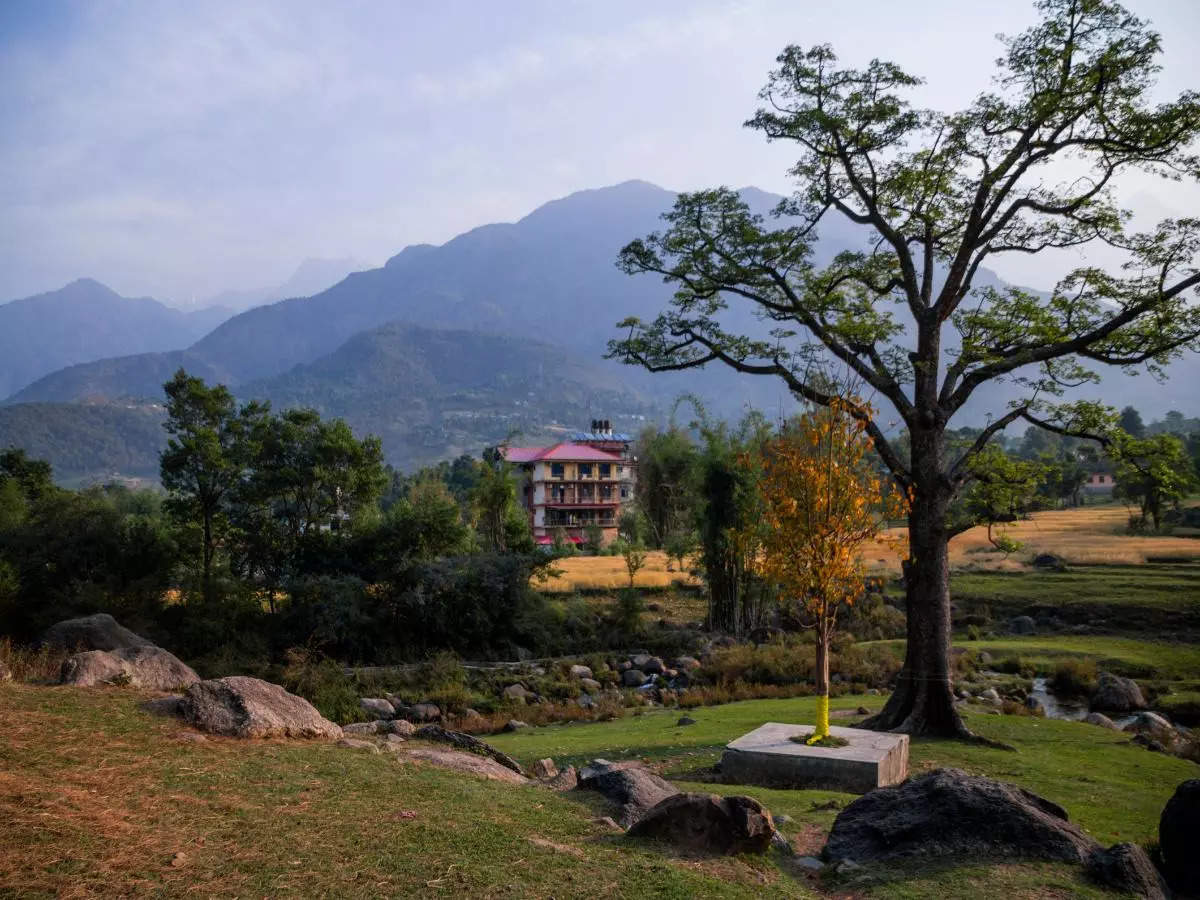 Palampur, the offbeat gem of Himachal Pradesh for a relaxed weekend getaway