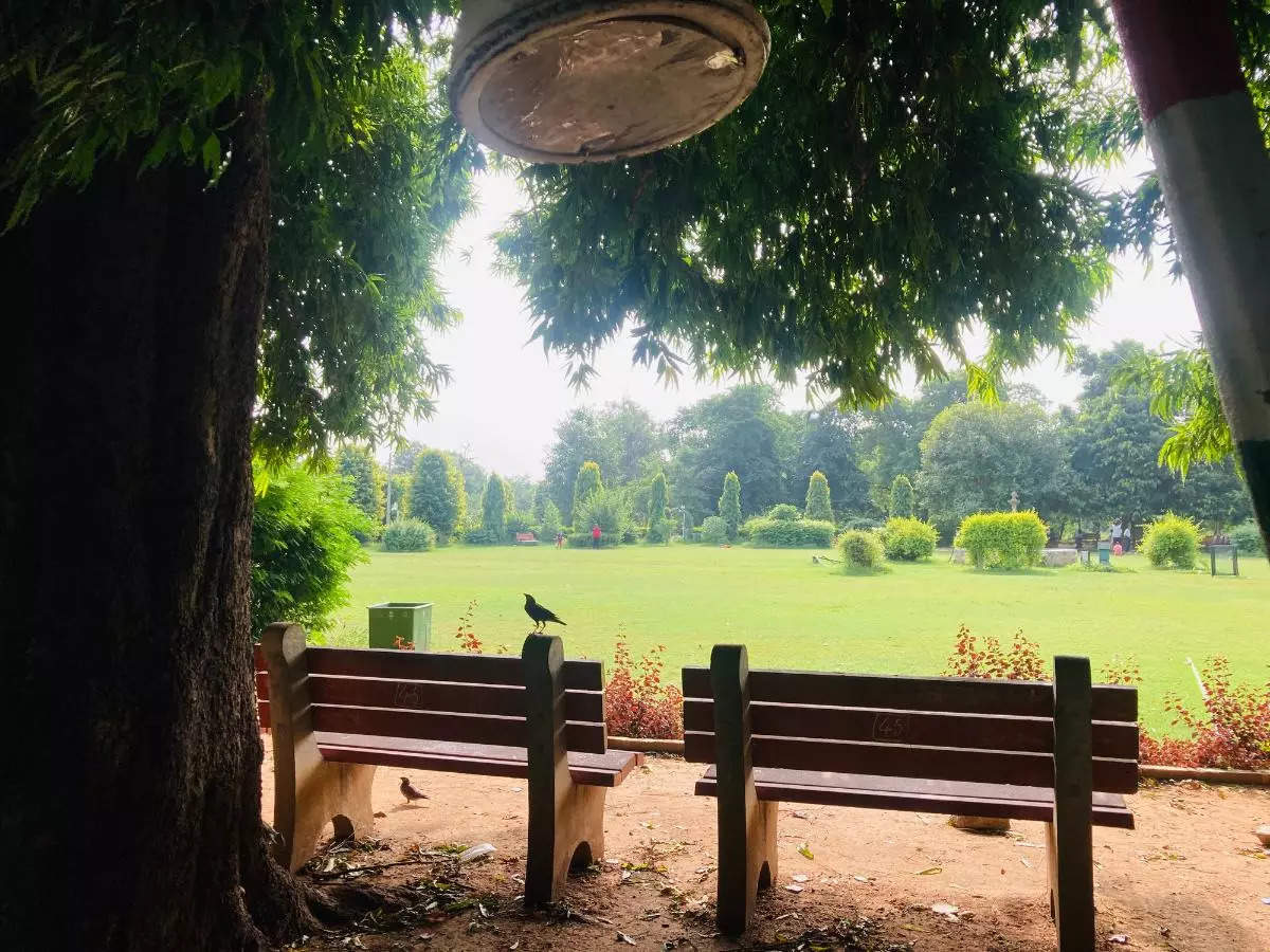 The best of Delhi's parks for a perfect summer day out