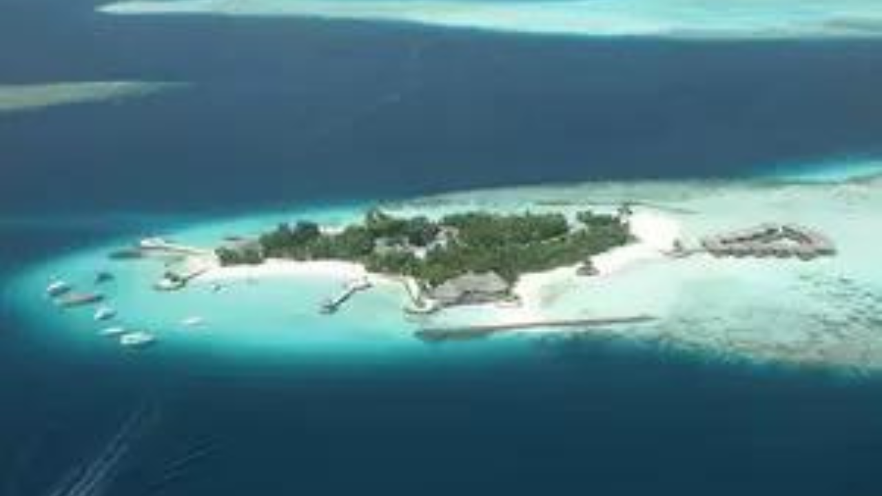 India removes export curbs on essential goods for Maldives