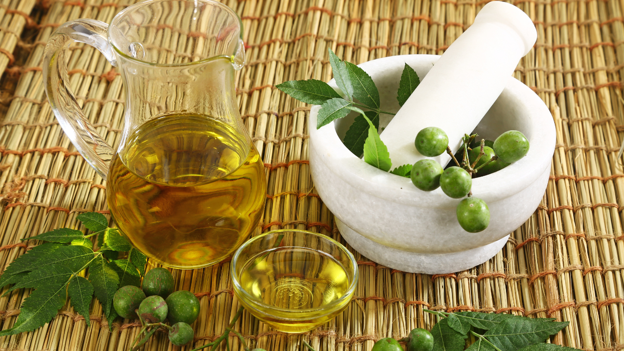 herbs (13)