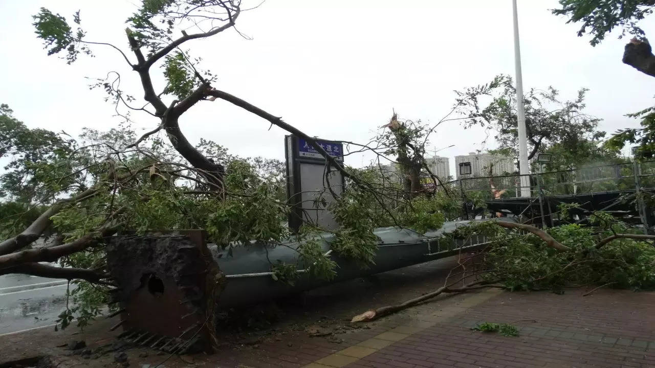 Three 'sucked out' of apartments as typhoon-like winds ravage southern China