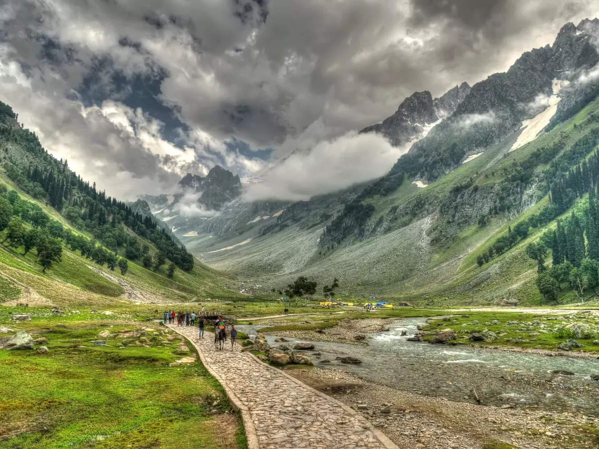 Best summer scenes from Kashmir that inspire travel