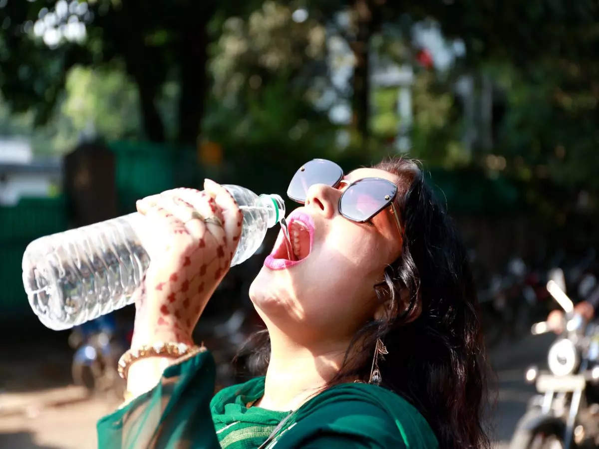 Delhi’s temperature might go up to 40 degree Celsius by April 15; IMD predicts