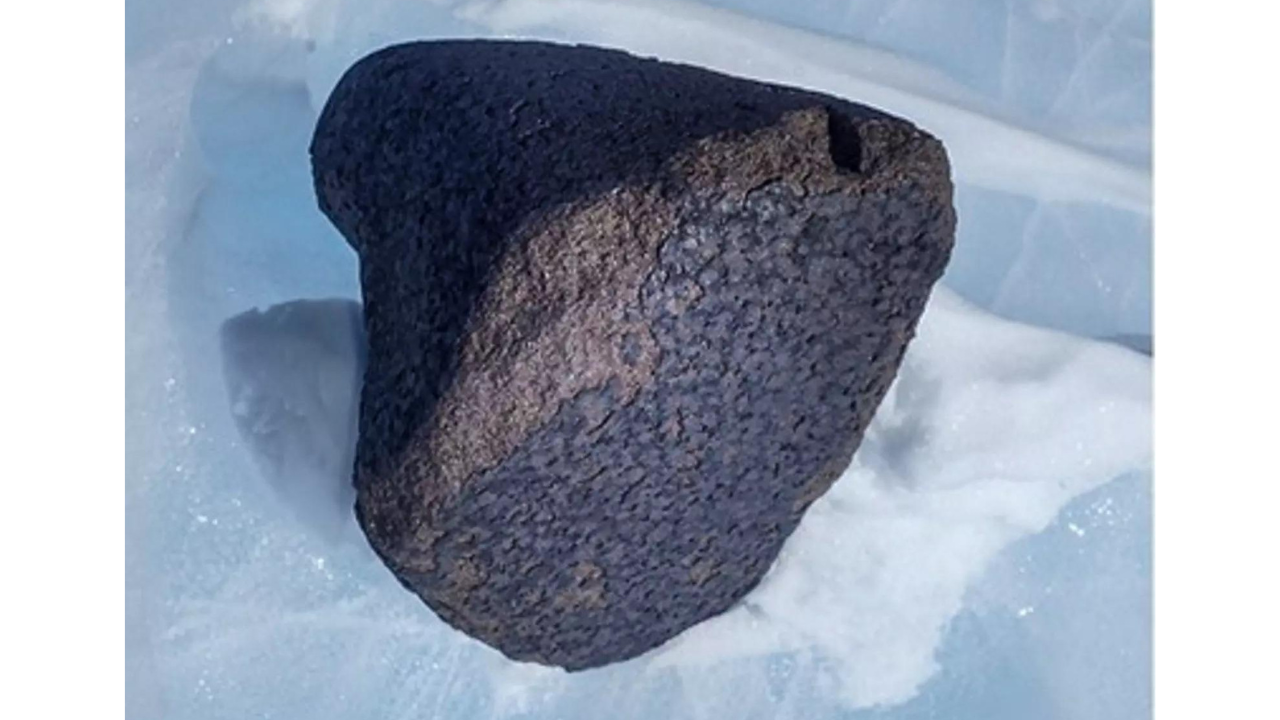 Meteorite which was found lying at Antarctica's blue icefield (PTI Photo)