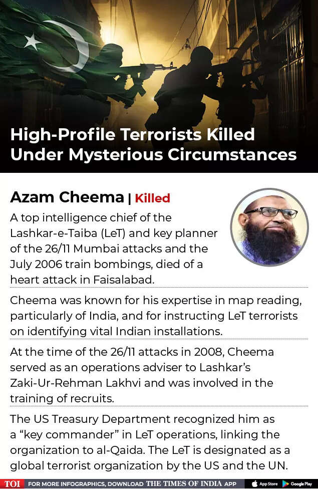 Terrorists Killed-1