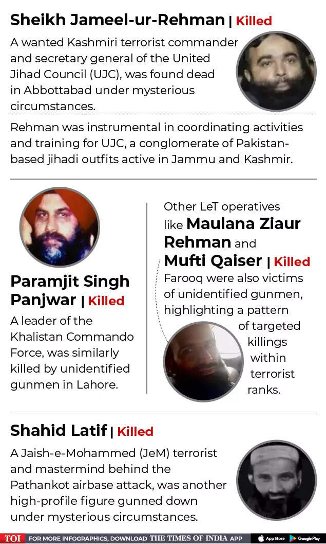 Terrorists Killed-2