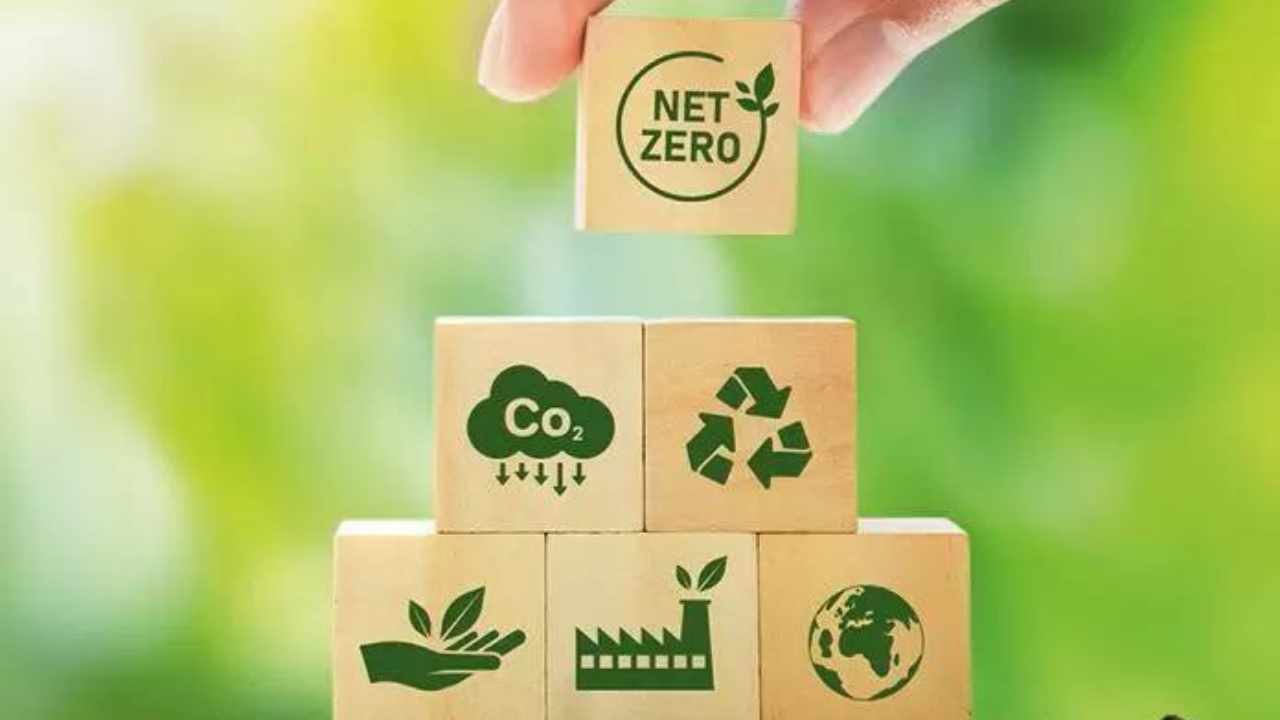 Inside SBTi row that has divided carbon offsets market