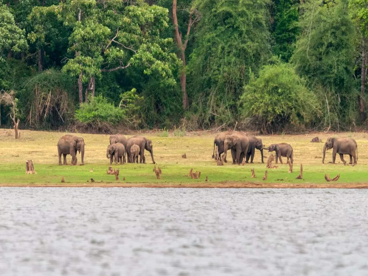 Nagarhole National Park: A pictorial journey through this fascinating natural heritage site in Karnataka!