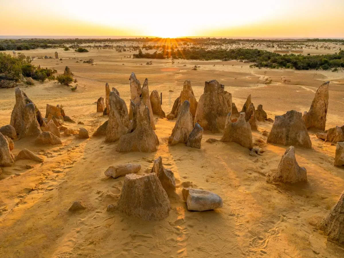 A journey through the enigmatic Pinnacles in Australia, one of the world's weirdest landscapes
