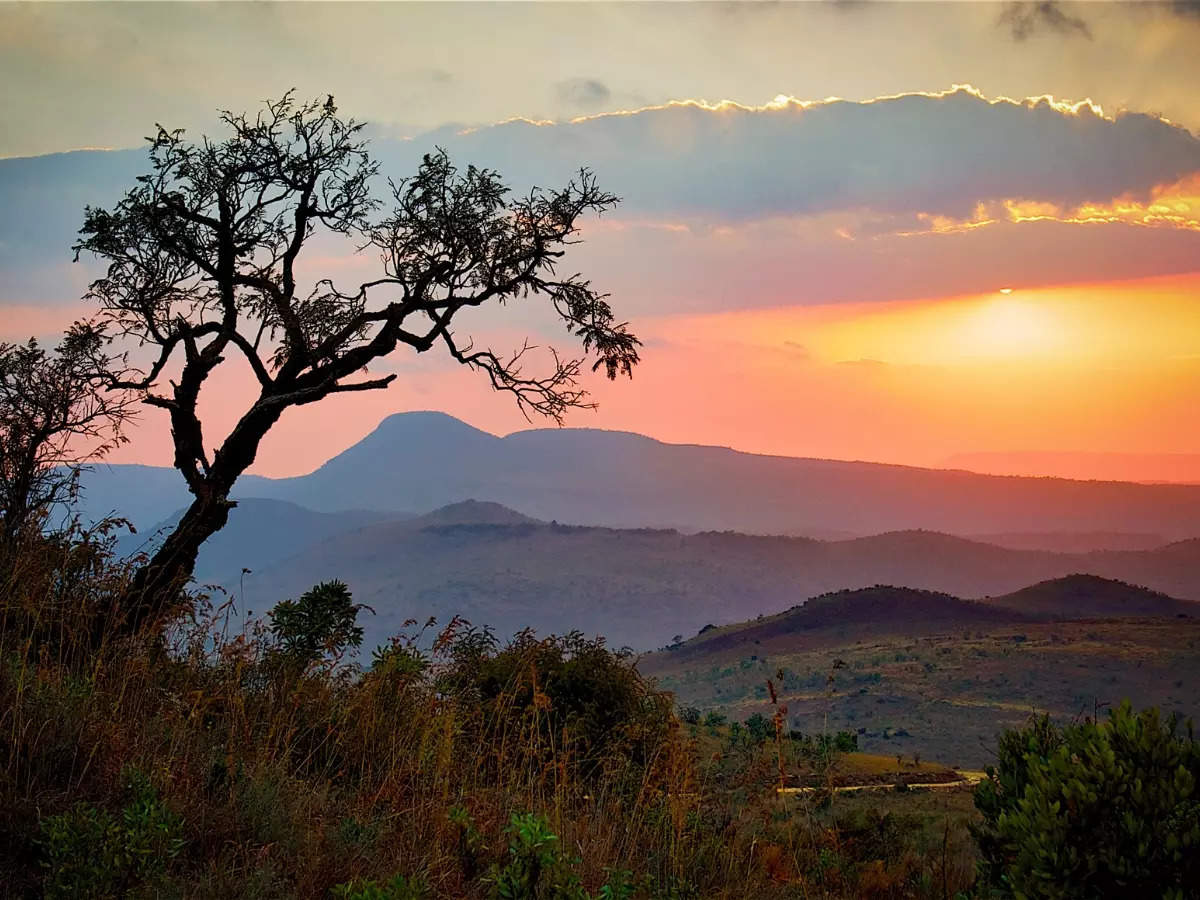 South Africa: Discover spectacular forests of The Rainbow Nation