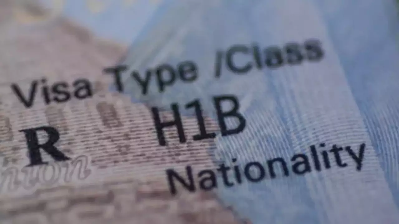 More H-1B visa holders are switching jobs – the process explained