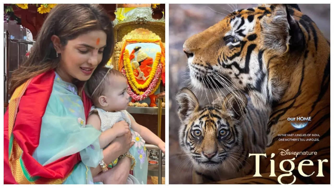 Priyanka brought her motherly experience to Tiger
