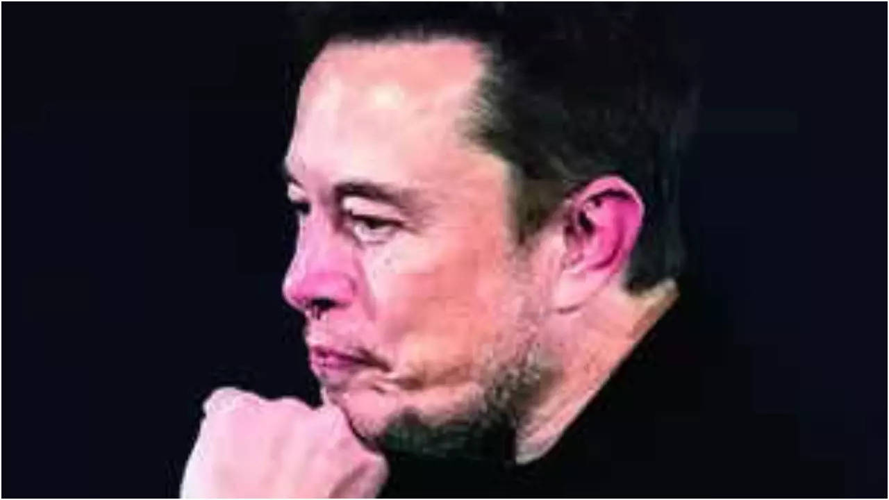 'Forever war': Elon Musk voices concern over 'no exit strategy' in Ukraine