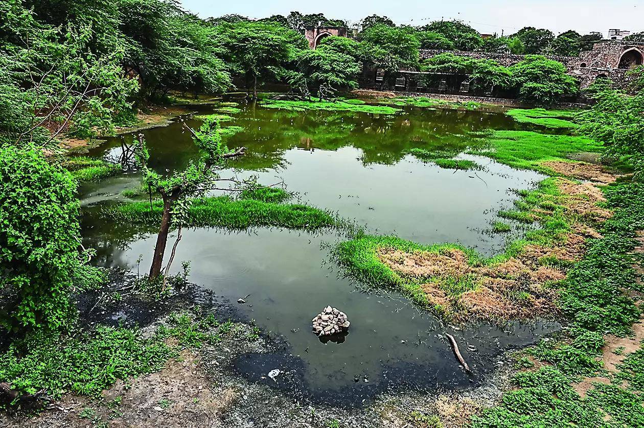 After TOI report, HC to hear encroachment of two lakes in Hyderabad