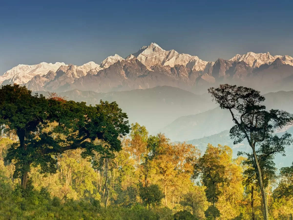 5 best reasons to consider Kanchenjunga National Park for your summer vacation