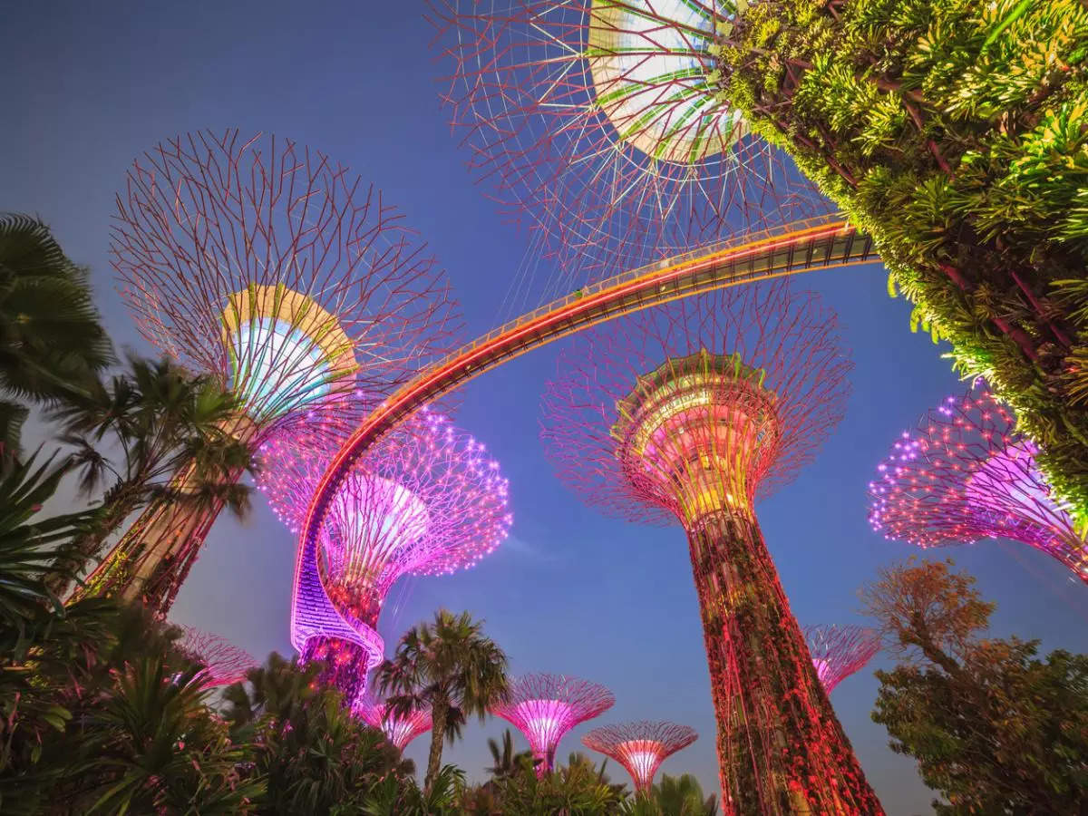 Singapore to get its personal ‘Northern Lights’ in Gardens of the Bay this May!