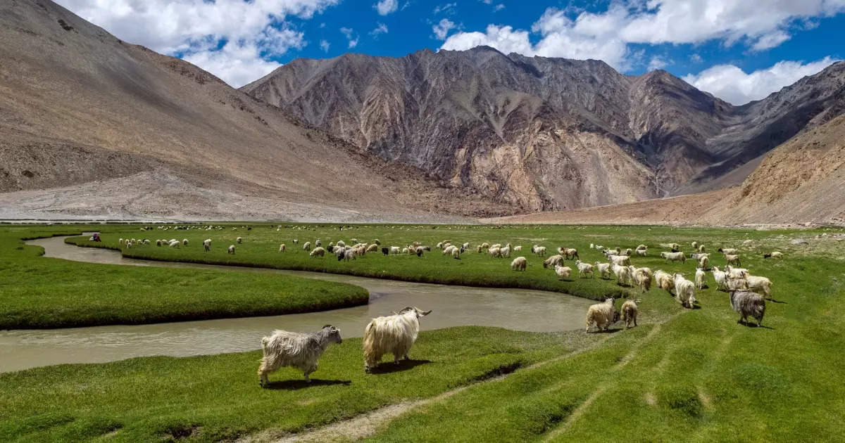 In photos: Enchanting summer-scenes of Ladakh | Times of India