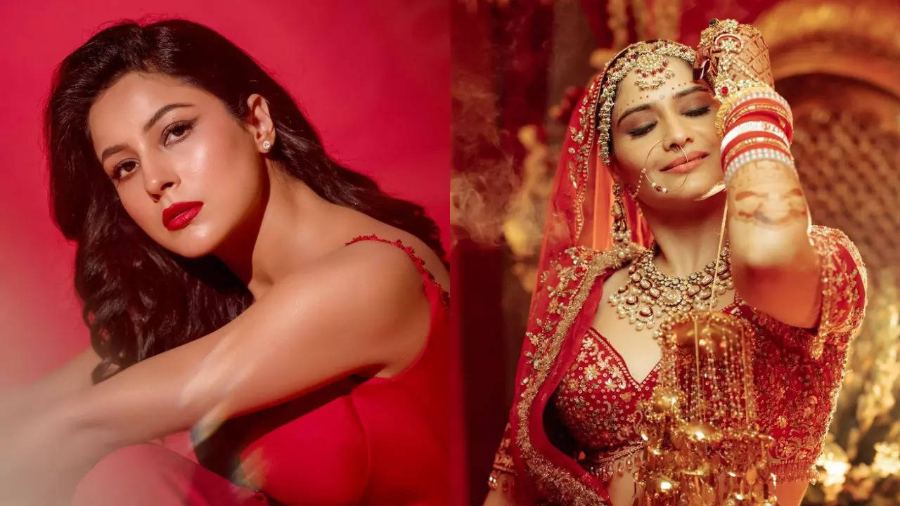 Here’s how Shehnaaz Gill wished Bigg Boss 13’s Arti Singh on her wedding with Dipak Chauhan; take a look at their video call