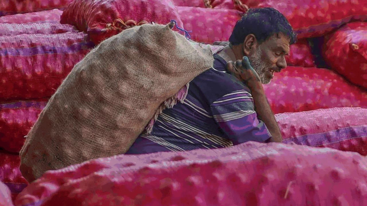 Eye on LS polls? Centre lifts 5-month ban on onion exports