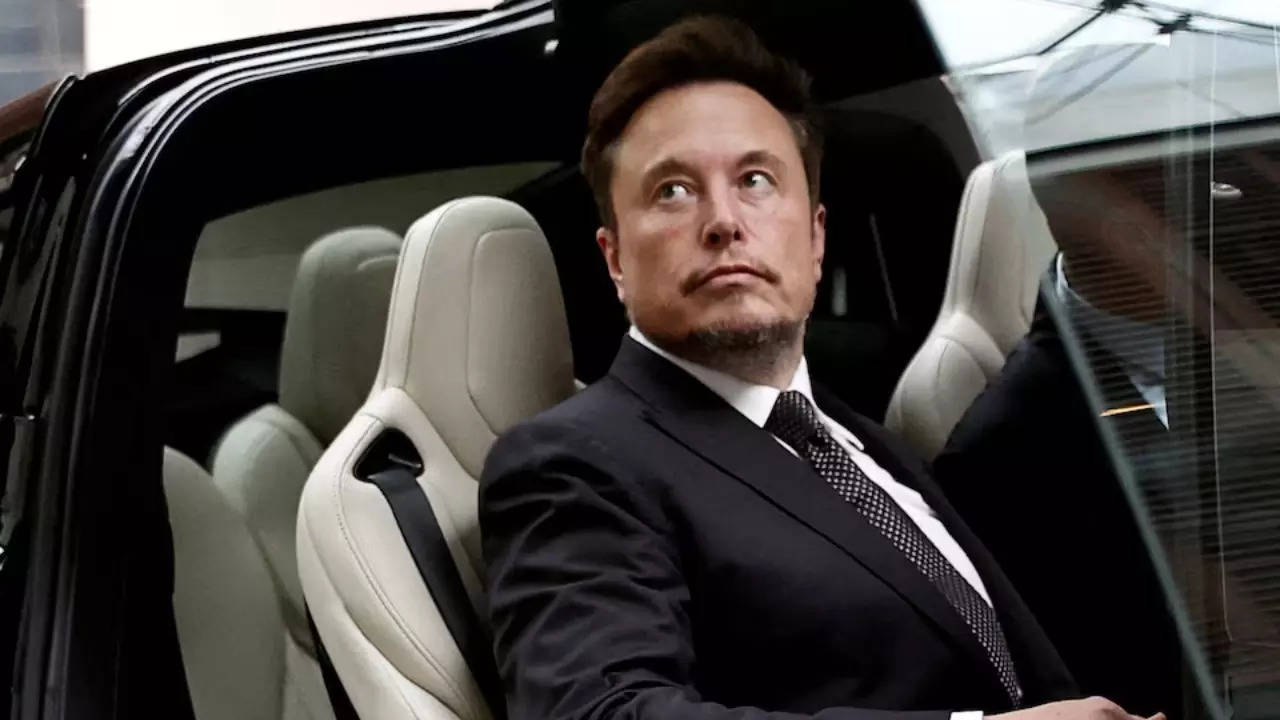 Tesla CEO Elon Musk (Reuters photo)
