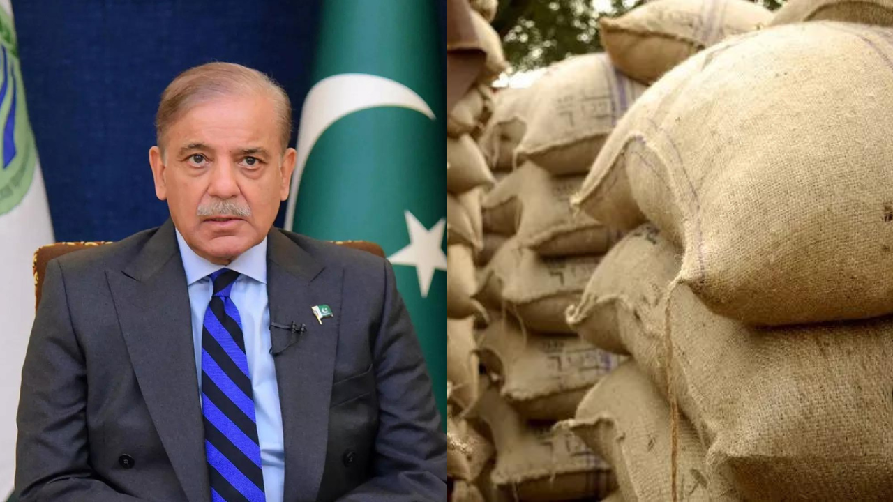 Pakistan: PM Shehbaz Sharif raises wheat procurement target amid farmer protests