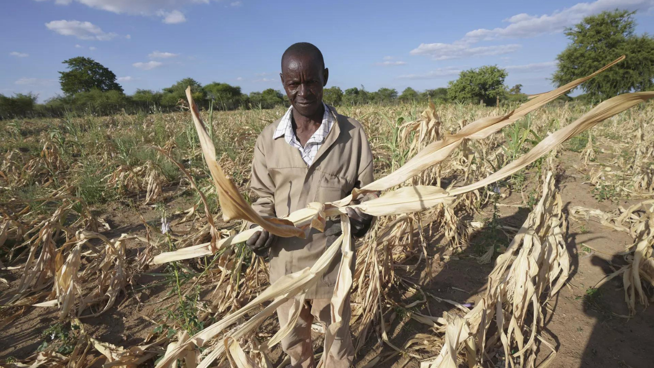 African farmers look to the past and the future to address climate change