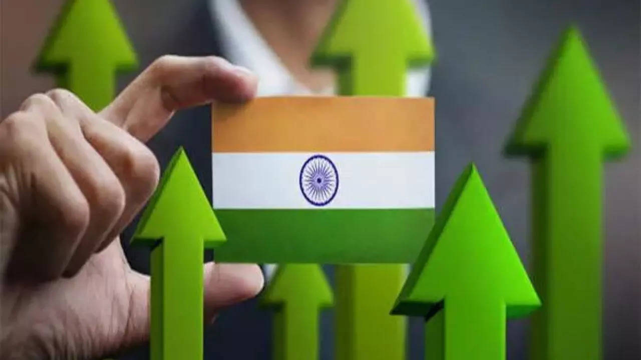 India to grow 6.6 % in next two years, driven by public sector demand: OECD