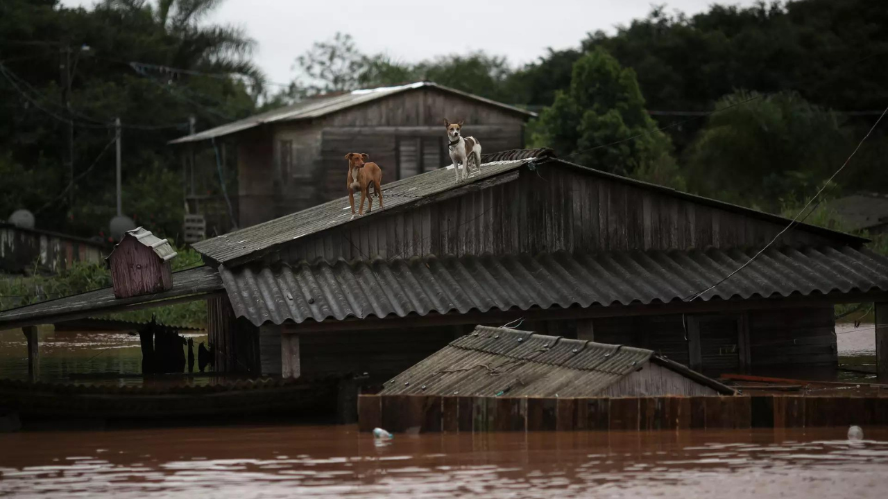 Dams strain as water, death toll keep rising in south Brazil