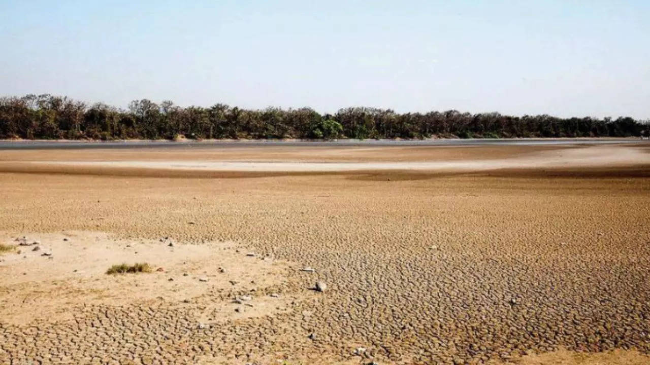 75% Karnataka lakes either dry or fast drying up