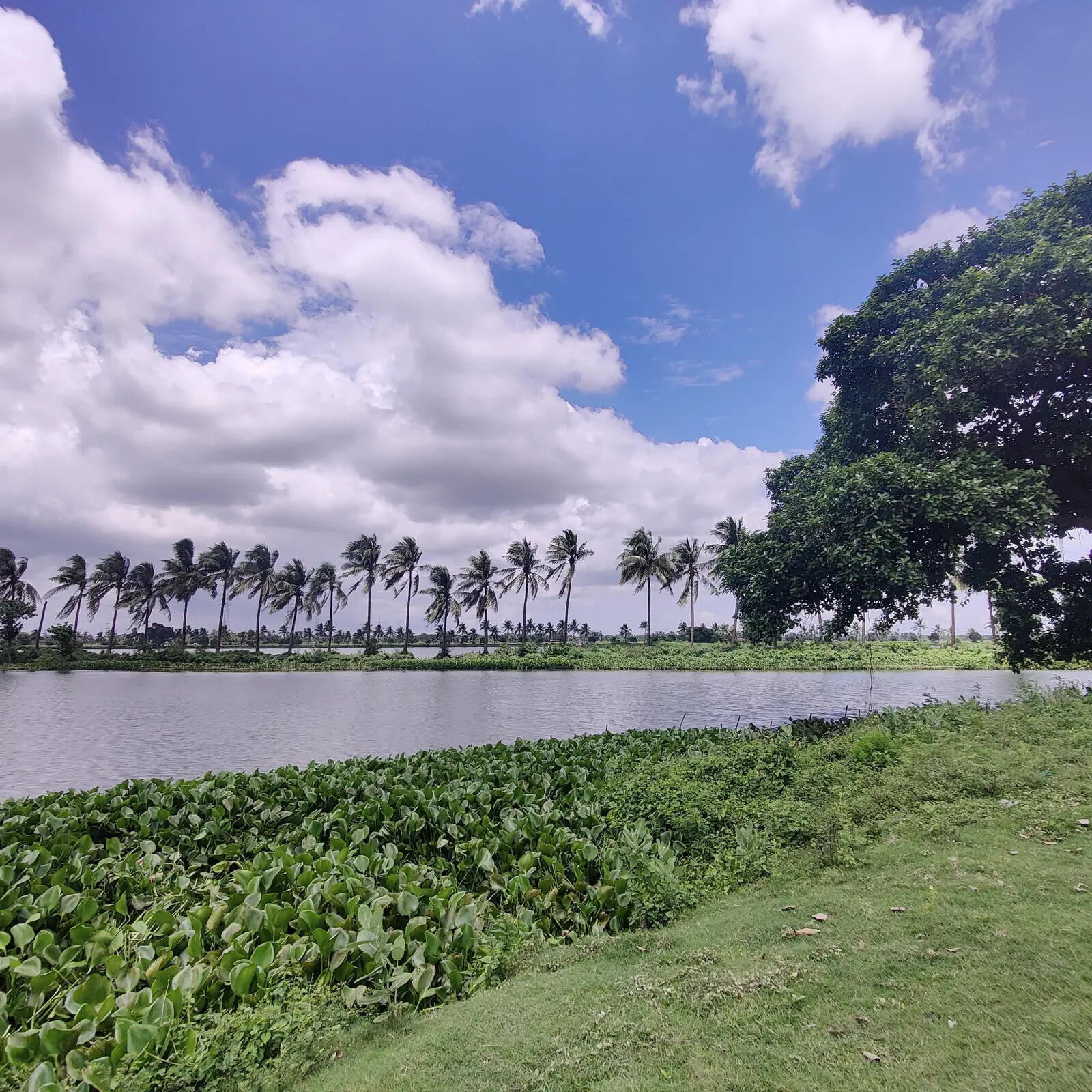 Teoria, Kolkata Map, Property Rates, Projects, Photos, Reviews, Info