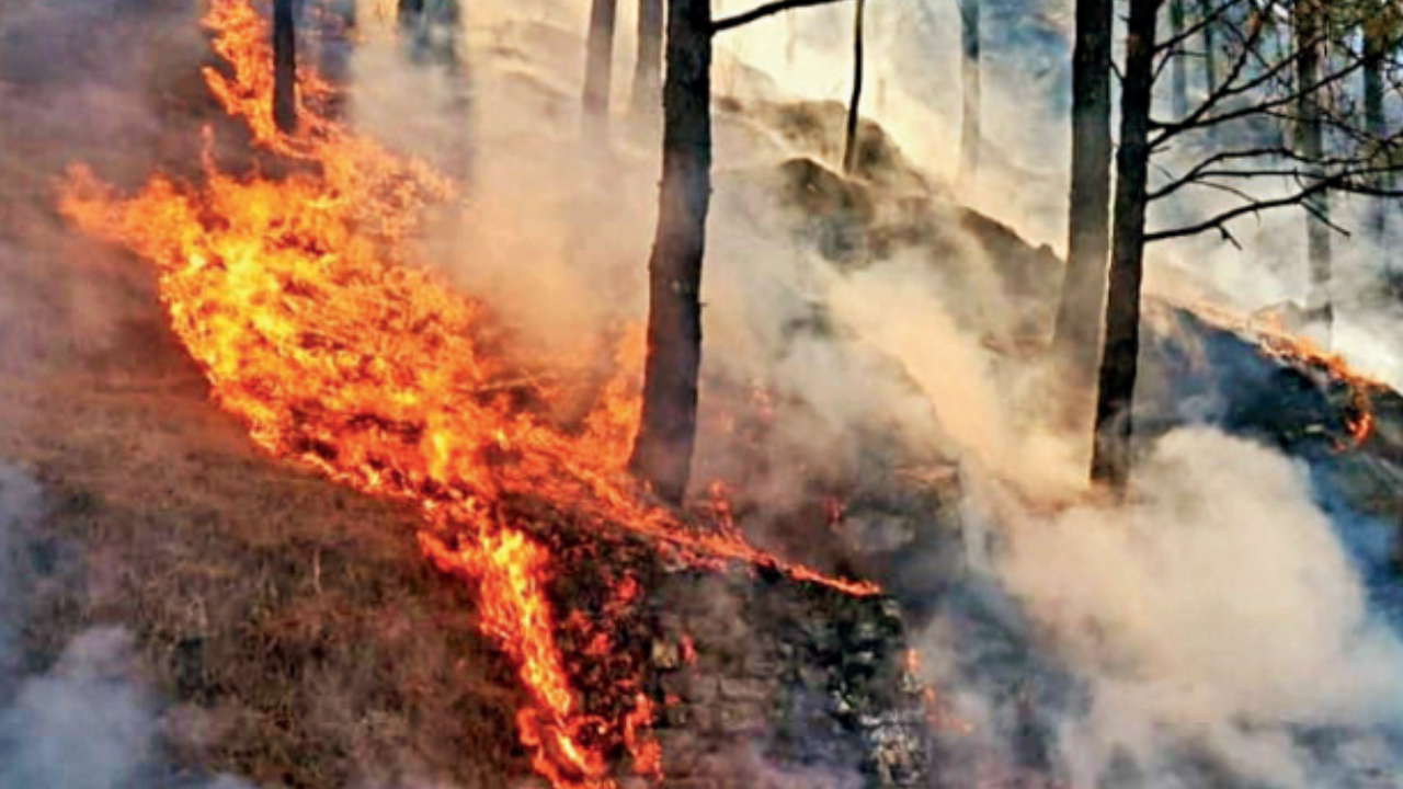 Clock Tower, Dehradun Map, Property Rates, Projects, Photos, Reviews, Info