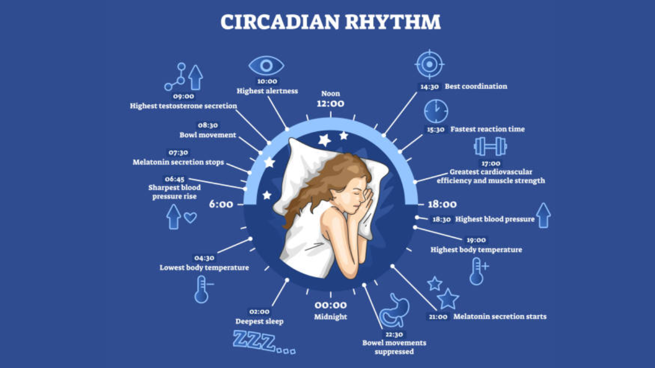 sleep habit