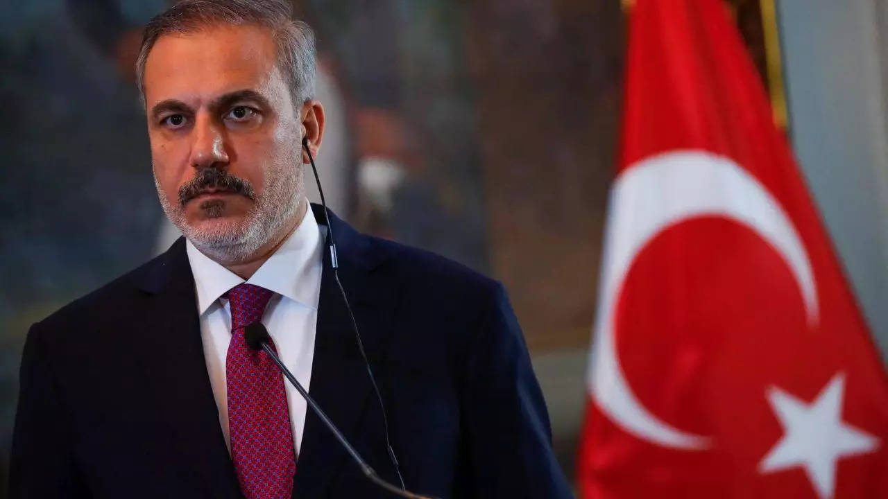 Turkey condemns Israel's actions in Gaza, seeks Justice at ICJ