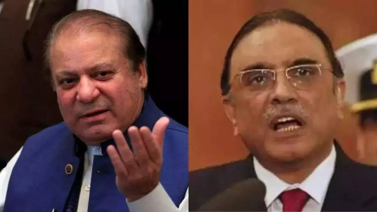 Zardari, Sharif, military generals: Dubai leaks expose billions in property owned by Pakistan's elite